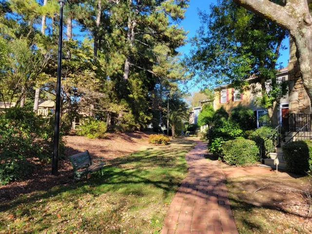 a view of a yard with plants and trees