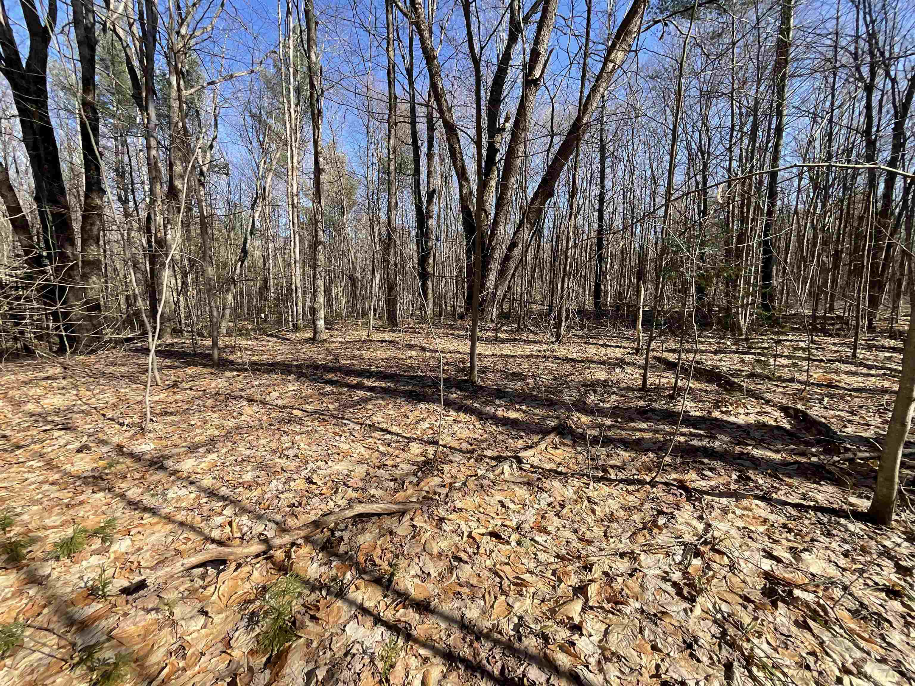 V/l Tower Road Northeast Kalkaska, MI 49646 - Photo 6 of 15