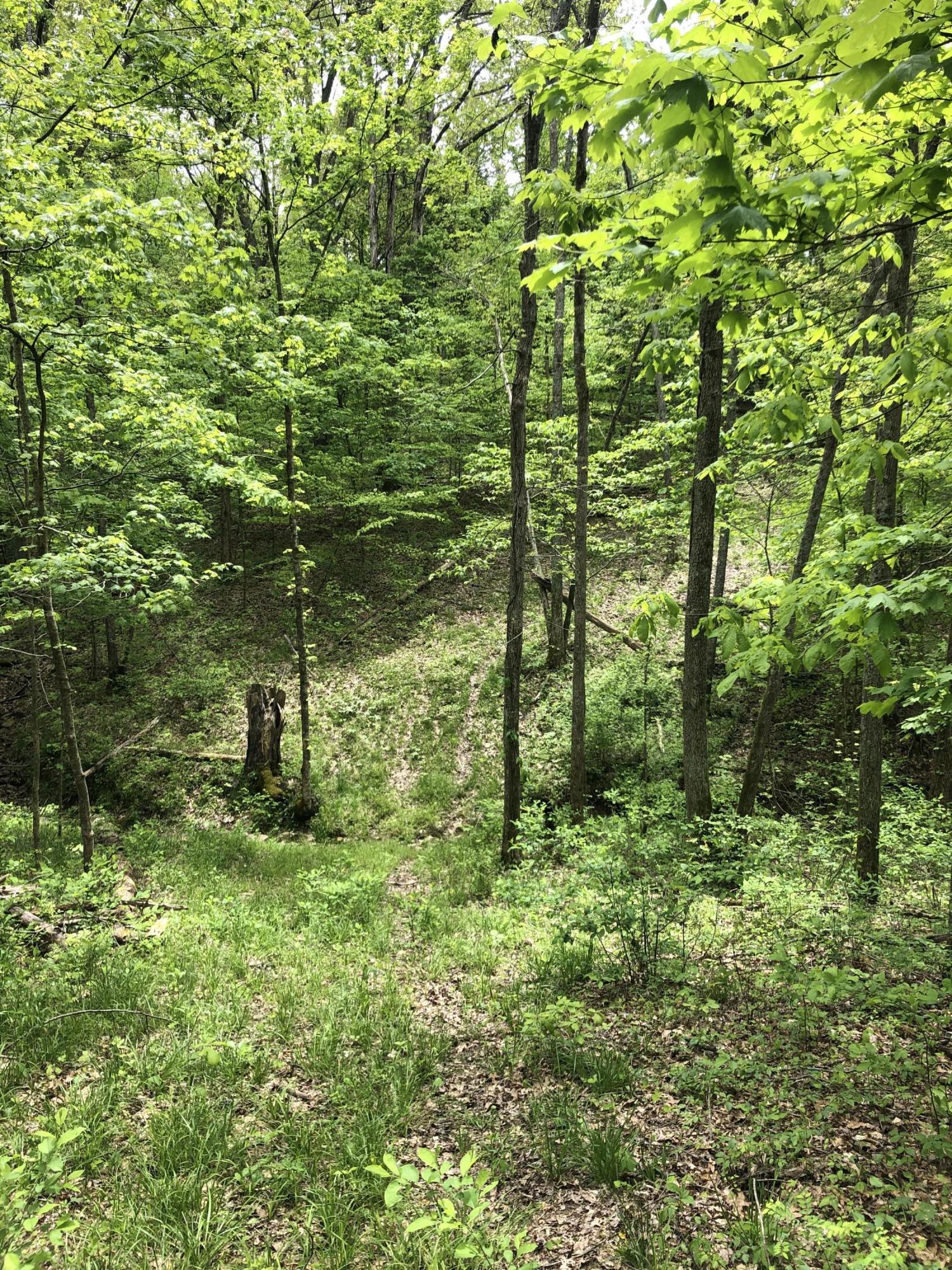 1650 Greens Chapel Road Bloomfield, KY 40008 - Photo 22 of 34 Trail 2