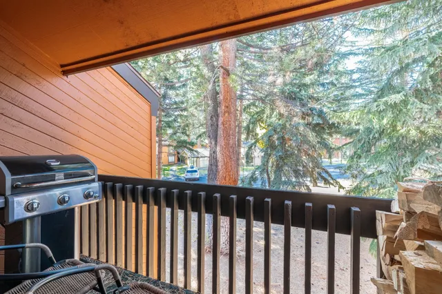 a view of a backyard with wooden fence and large trees