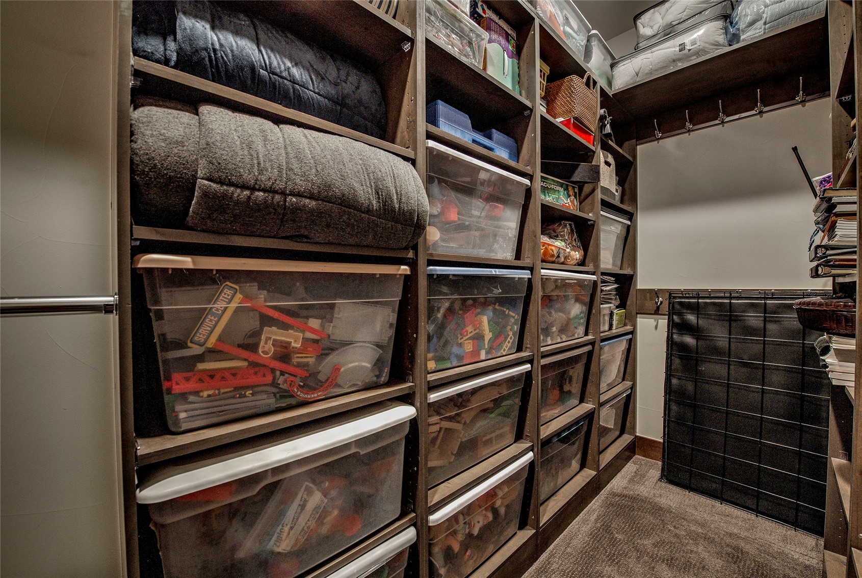 307 Maryland Creek Road Silverthorne, CO 80498 - Photo 24 of 47 Spacious closet with built ins