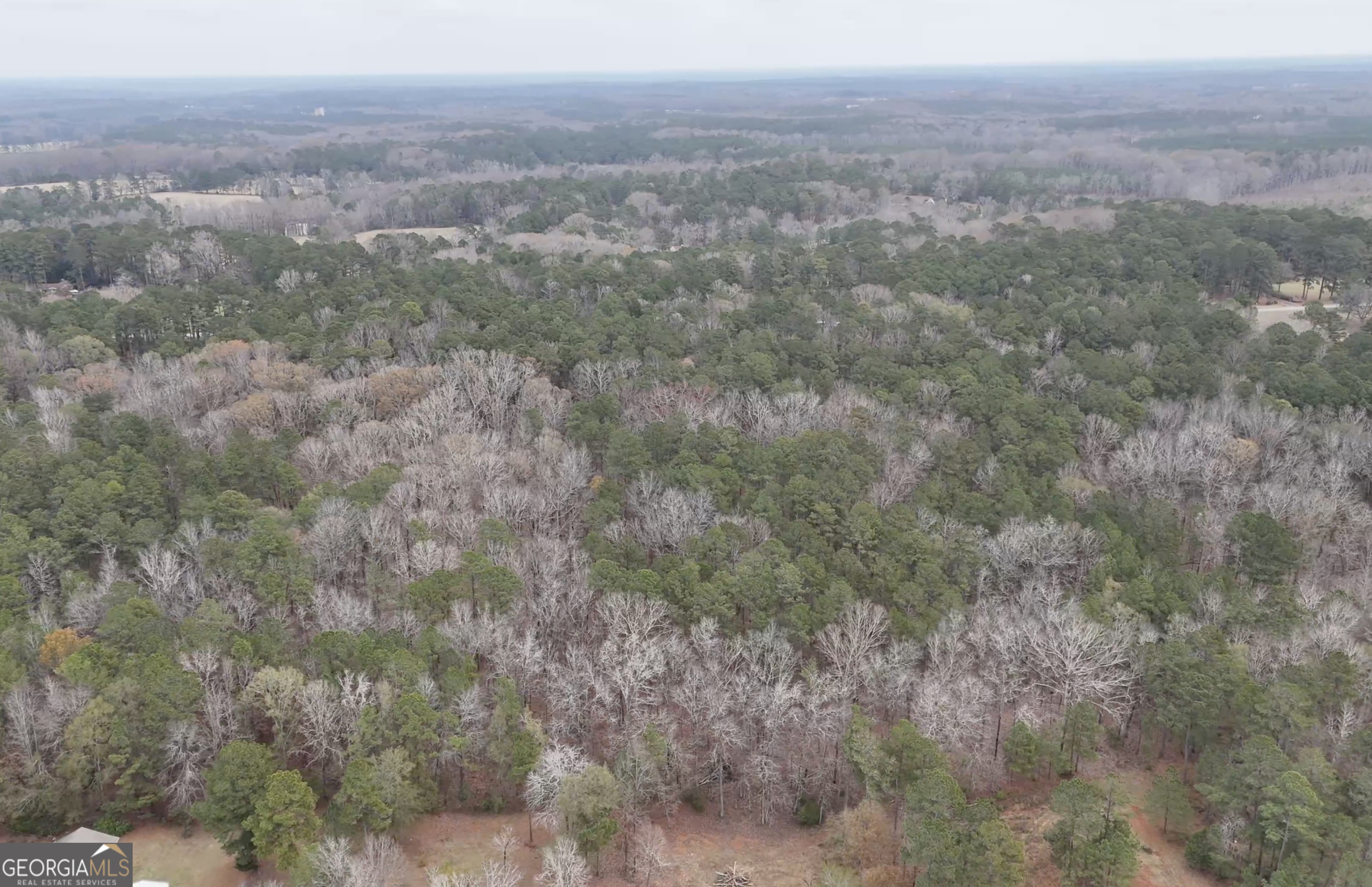 1094 Goolsby Road Monticello, GA 31064 - Photo 26 of 29