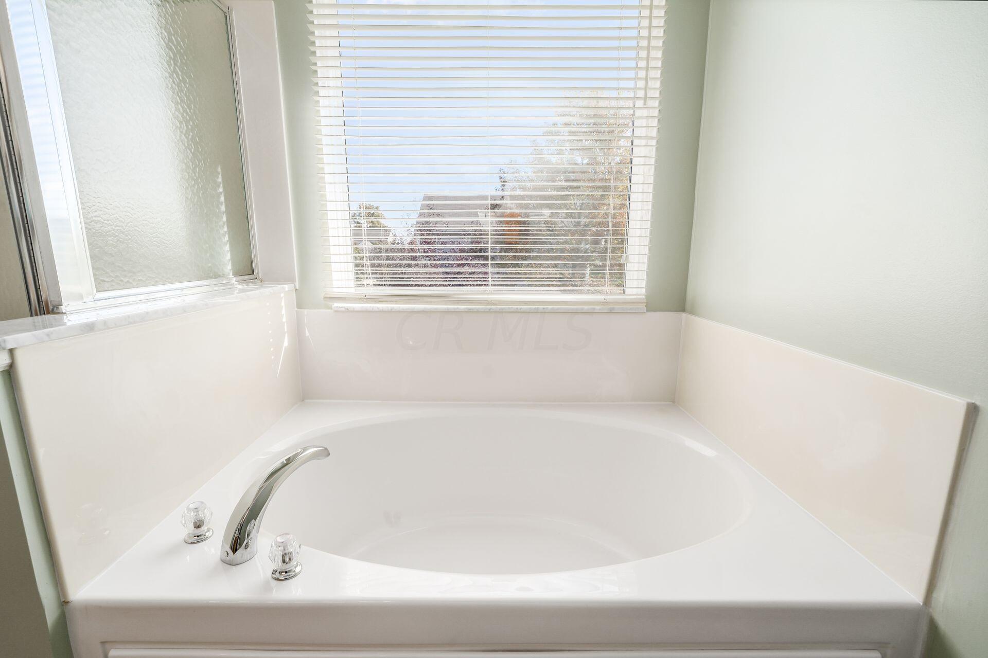 159 Stockard Loop Delaware, OH 43015 - Photo 30 of 42 Soaking Tub