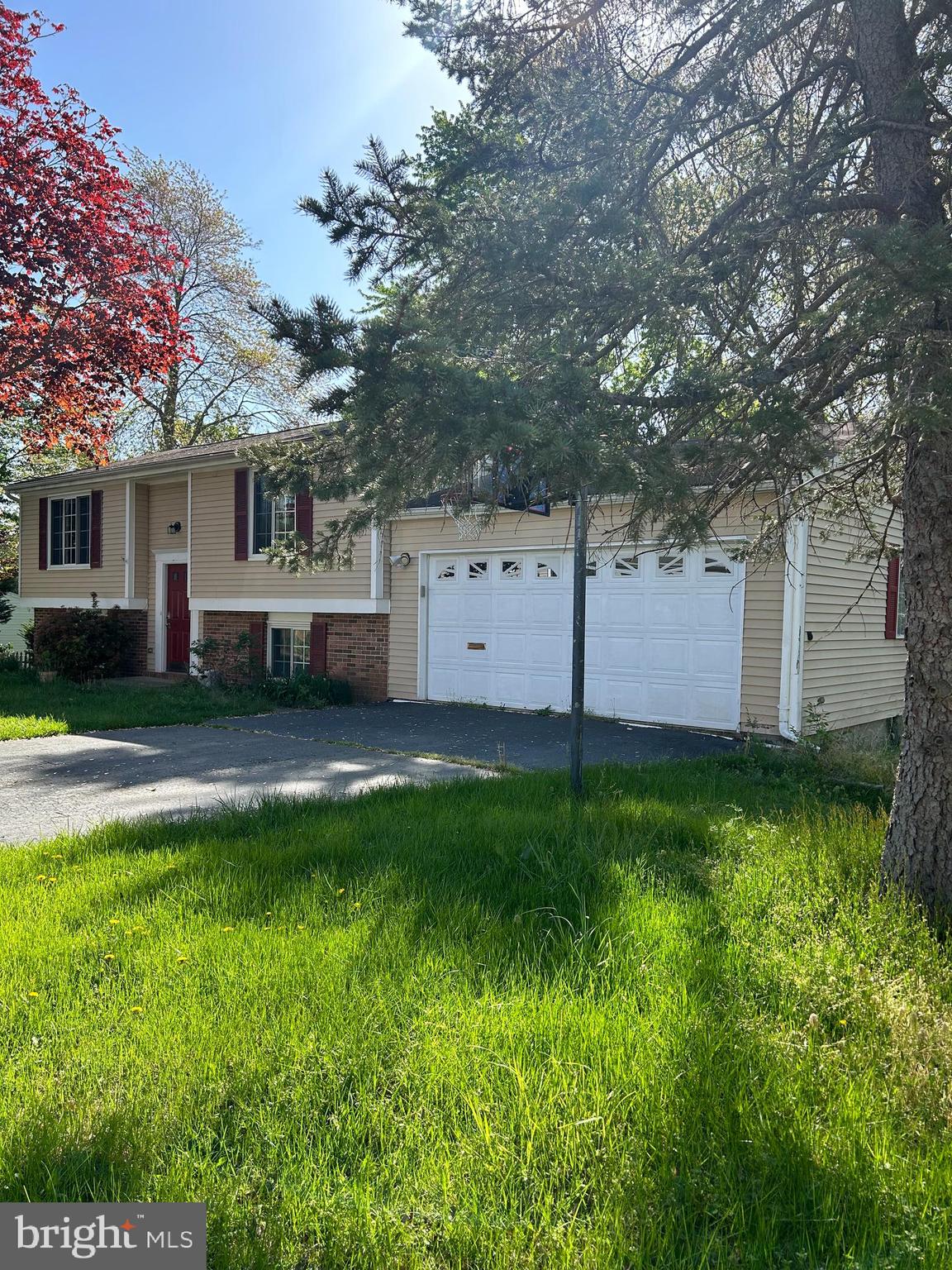 12835 Pinecrest Road Herndon, VA 20171 - Photo 2 of 48