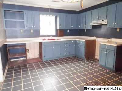 602 Hoyt Hill Road Ashville, AL 35953 - Photo 5 of 21