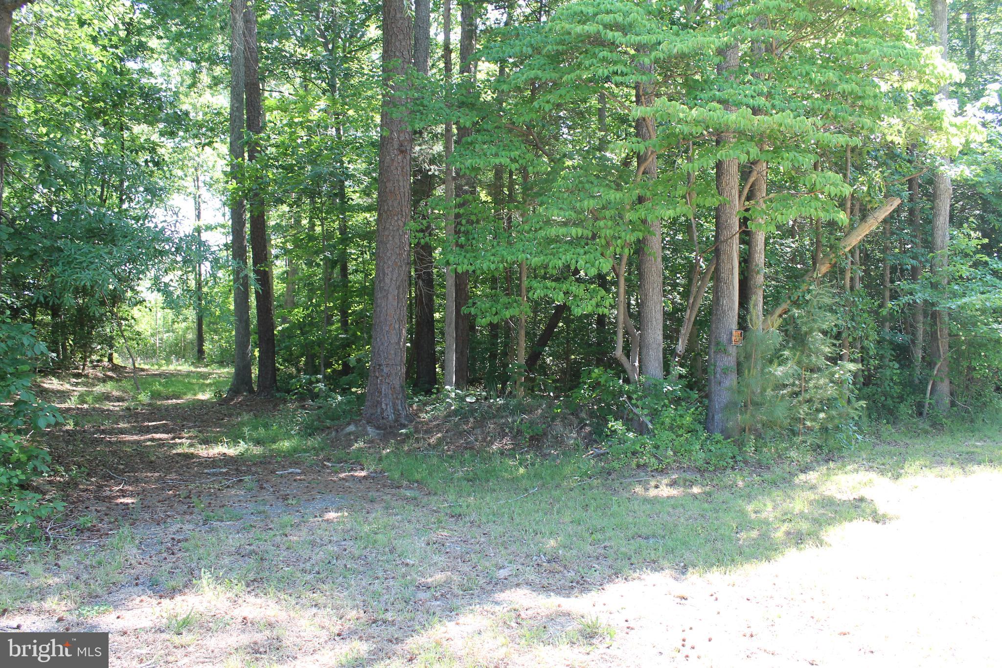 6031 Hickory Ridge Road Spotsylvania, VA 22551 - Photo 26 of 28 the 27 acres are mostly wooded