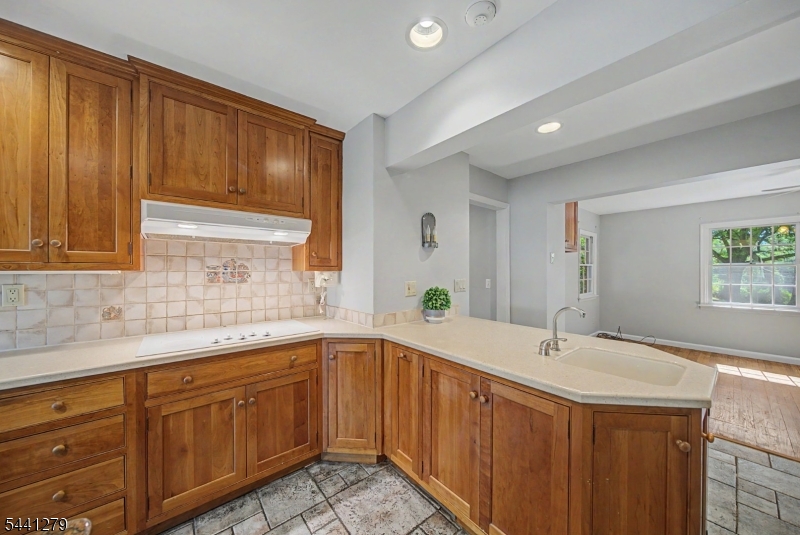 44 Glen Road Mountain Lakes, NJ 07046 - Photo 15 of 45