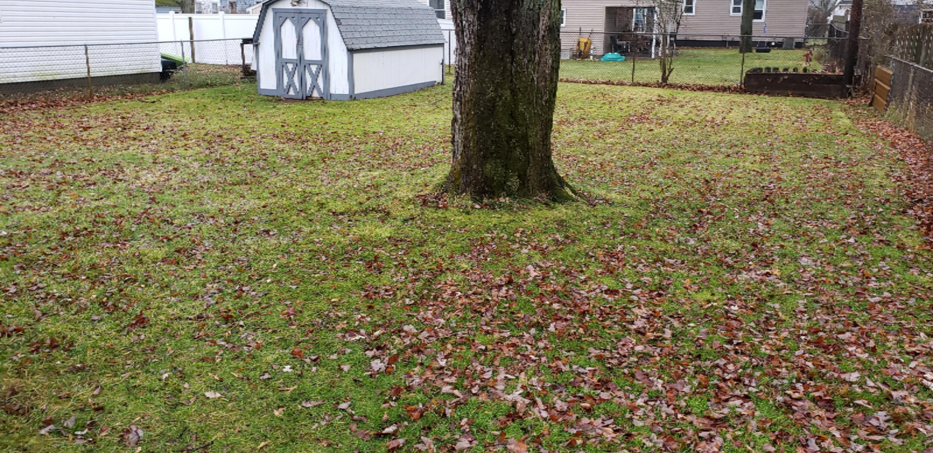 2701 Pinehurst Road Muskegon, MI 49441 - Photo 41 of 45 20191209_120202