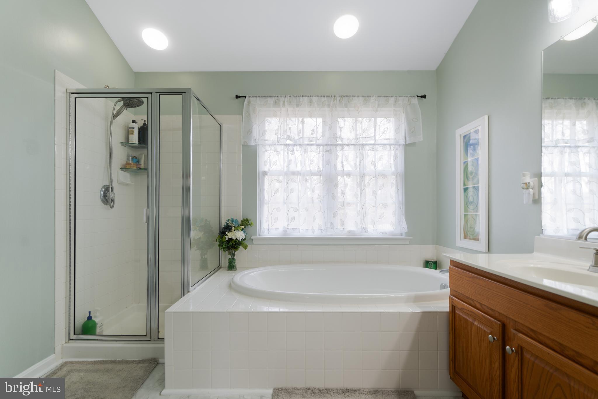 471 Blossom Tree Road Culpeper, VA 22701 - Photo 15 of 26 a bathroom with a bathtub and a shower
