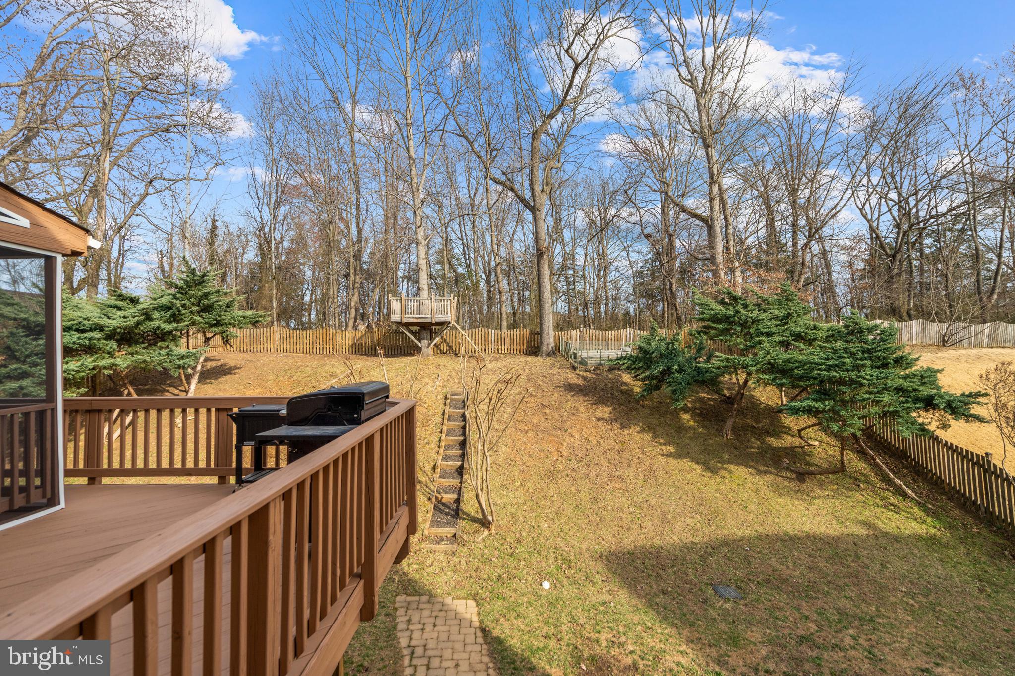 471 Blossom Tree Road Culpeper, VA 22701 - Photo 22 of 26 a view of a pathway with a wrought fence