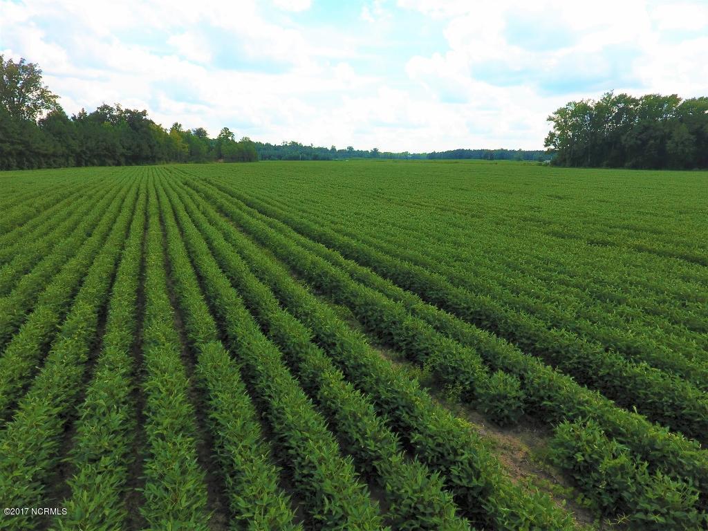 128.25 Ac Off Alton Road Lucama, NC 27851 - Photo 30 of 48 26 (1024x768)
