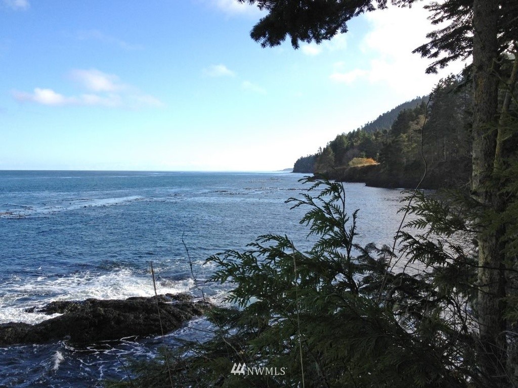 925 Durwachter Road Port Angeles, WA 98363 - Photo 15 of 23 Gallery Image 15