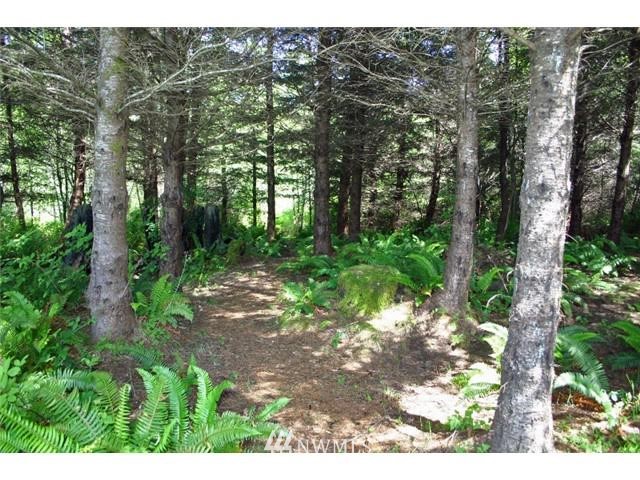 925 Durwachter Road Port Angeles, WA 98363 - Photo 23 of 23 Gallery Image 23