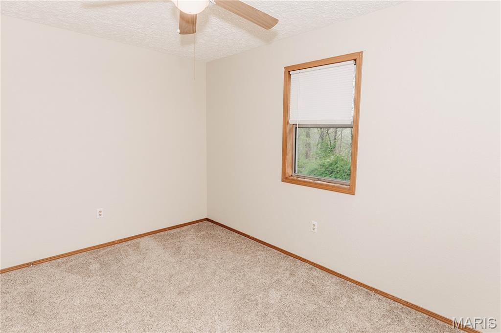 14580 Conway Road Dixon, MO 65459 - Photo 24 of 40