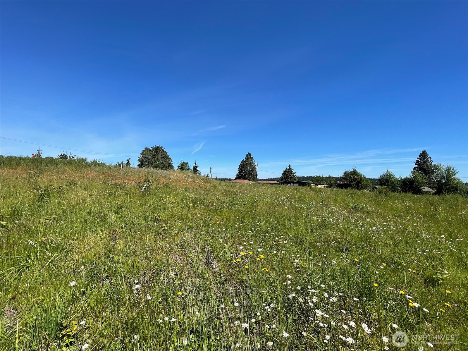 872 South Still Road Sequim, WA 98382 - Photo 8 of 11 Gallery Image 8