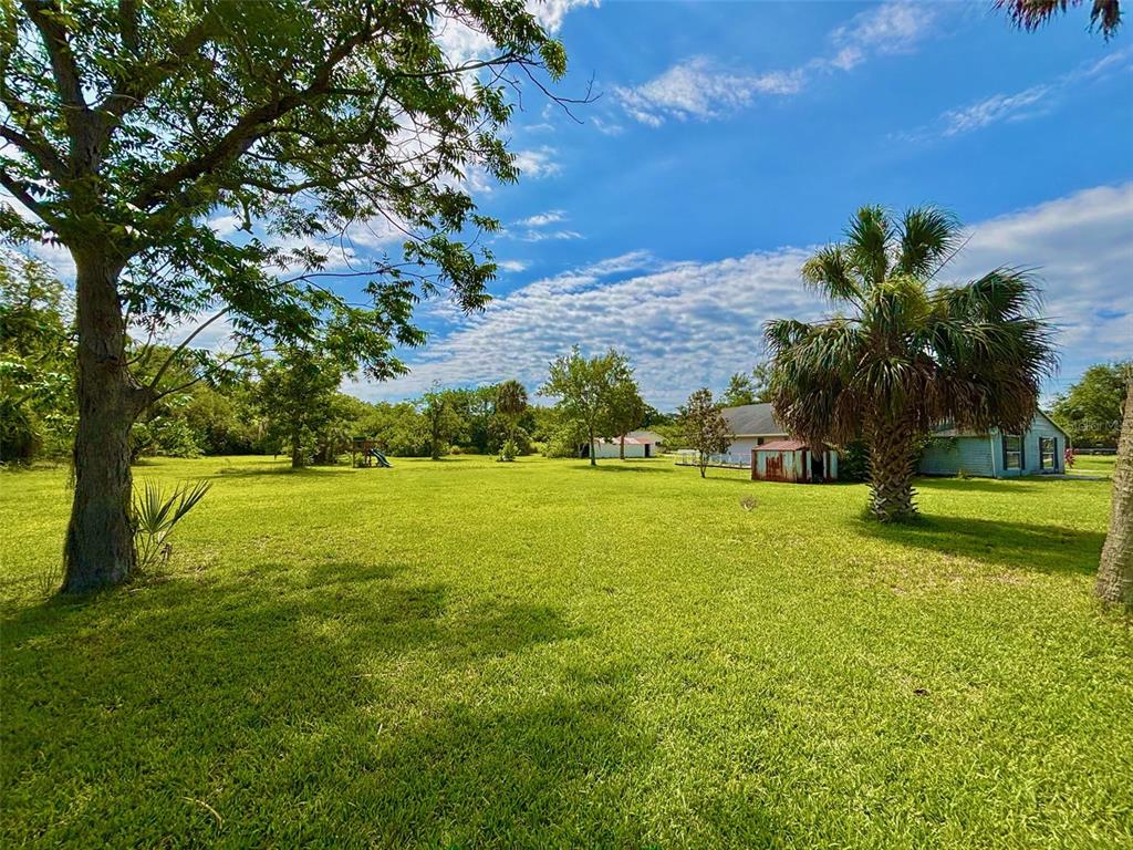 14318 Guava Street Hudson, FL 34667 - Photo 23 of 36