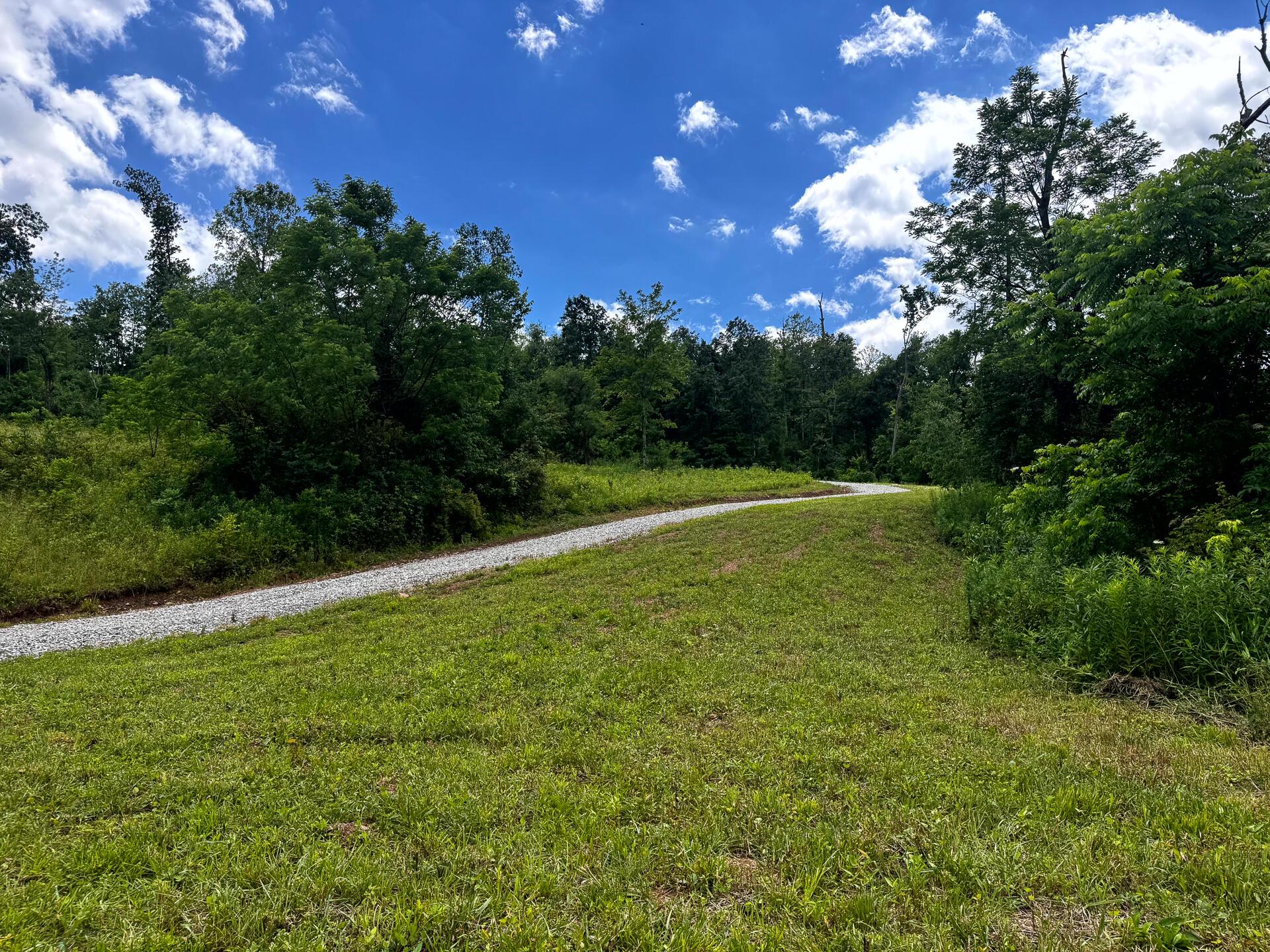 0 Barr Hollow Road Reedsville, OH 45772 - Photo 4 of 15 CT-4