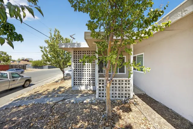 a view of a yard with plants and trees