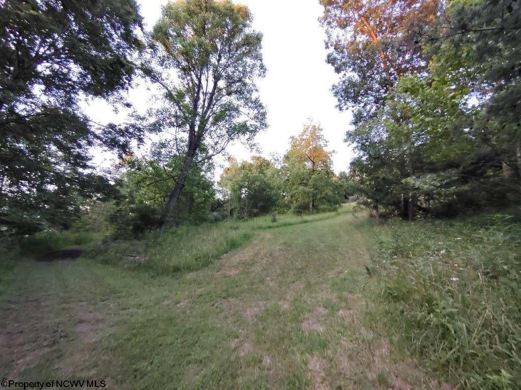 1482 Sago Road Buckhannon, WV 26201 - Photo 17 of 21 Gallery Image 17