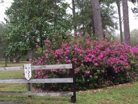 21435 Pat Obrien Road Covington, LA 70435 - Photo 27 of 31