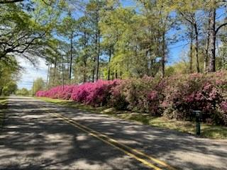 21435 Pat Obrien Road Covington, LA 70435 - Photo 28 of 31