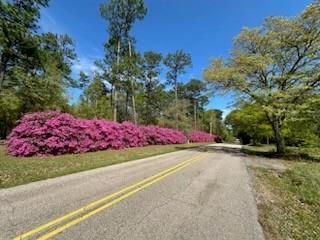 21435 Pat Obrien Road Covington, LA 70435 - Photo 29 of 31