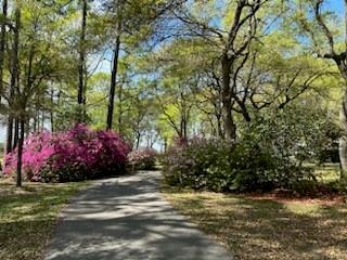 21435 Pat Obrien Road Covington, LA 70435 - Photo 30 of 31