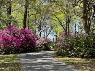 21435 Pat Obrien Road Covington, LA 70435 - Photo 31 of 31