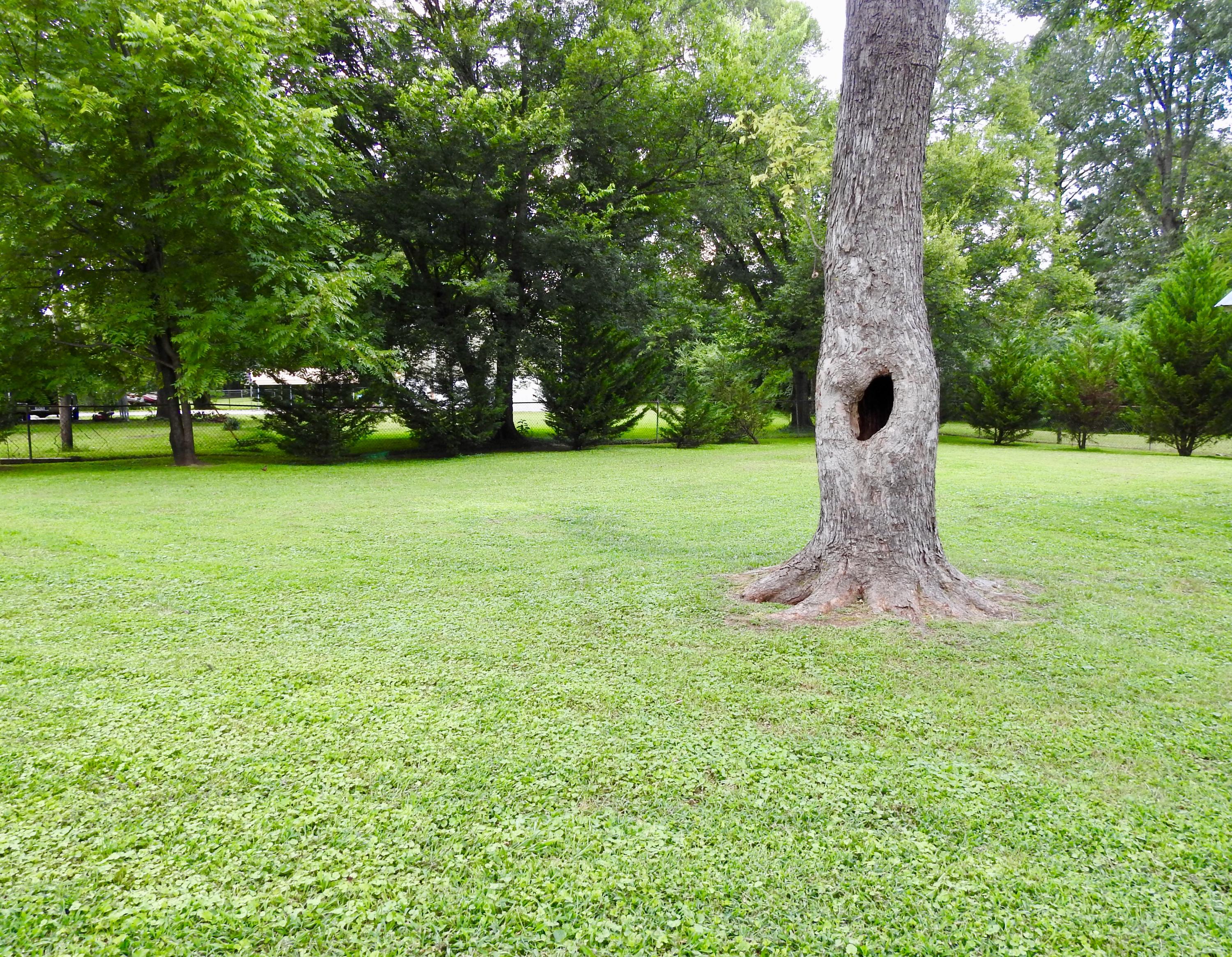 219 John Thompson Road Flintstone, GA 30725 - Photo 26 of 29 IMG_1964