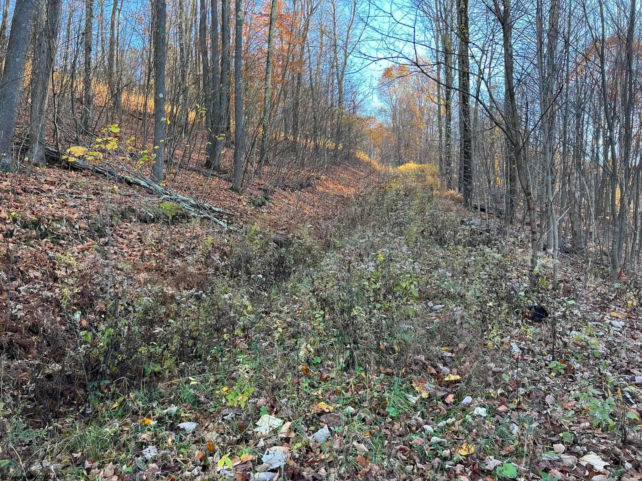 25-acres Stemple Ridge Road Aurora, WV 26705 - Photo 26 of 27 Gallery Image 26