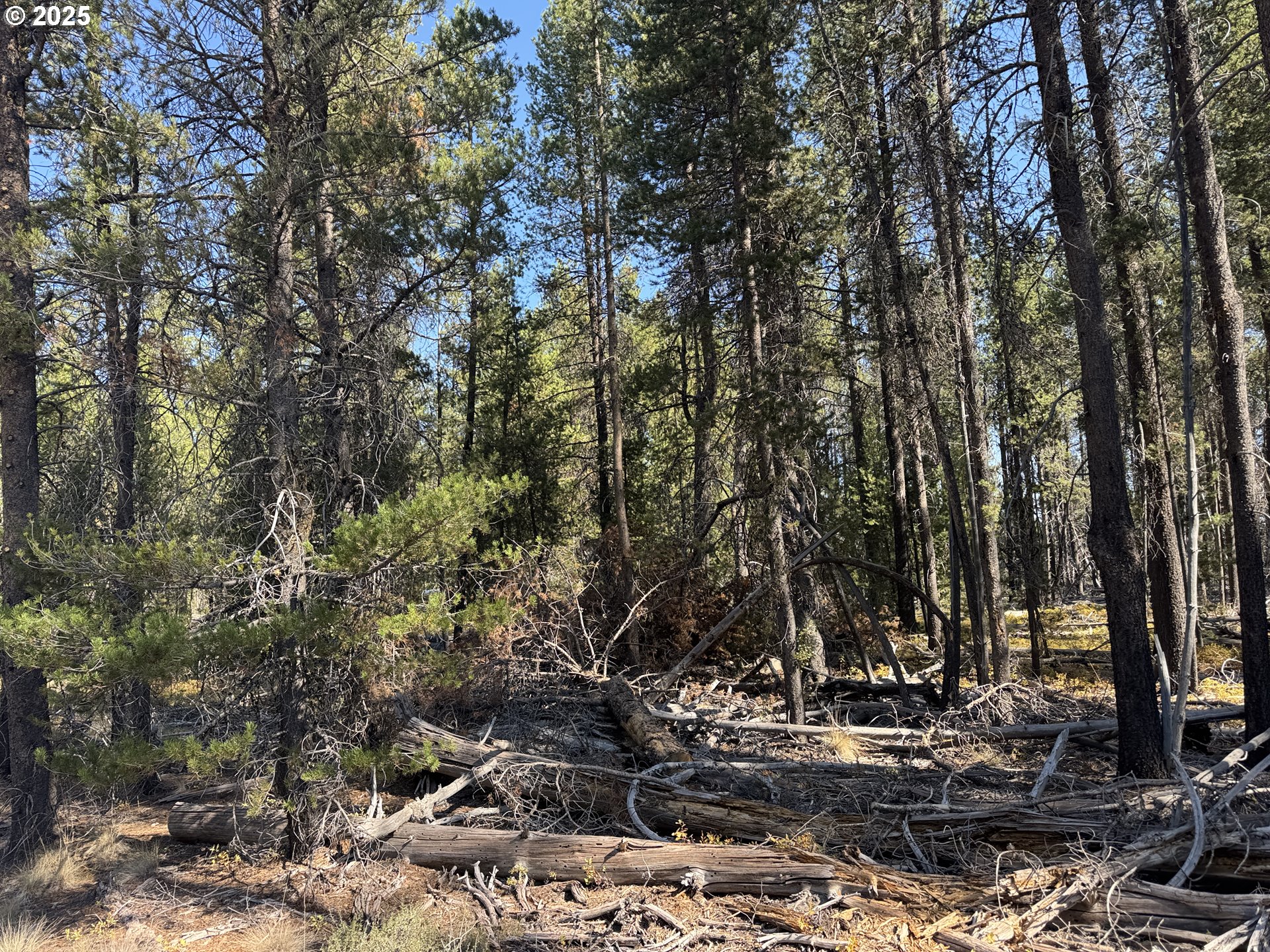 Cloudcap Drive, Unit 6 Chiloquin, OR 97624 - Photo 4 of 27