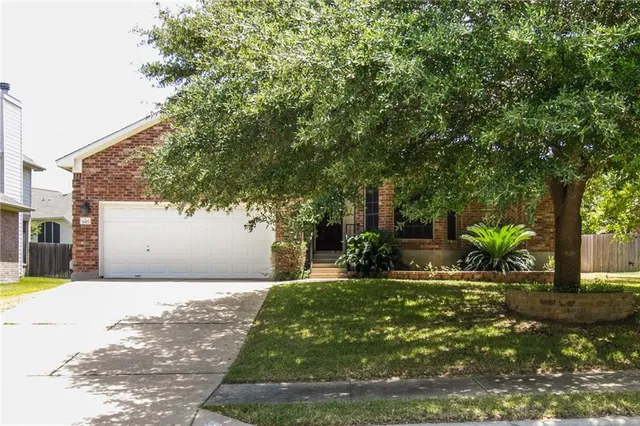 a view of a yard with plants and a large tree
