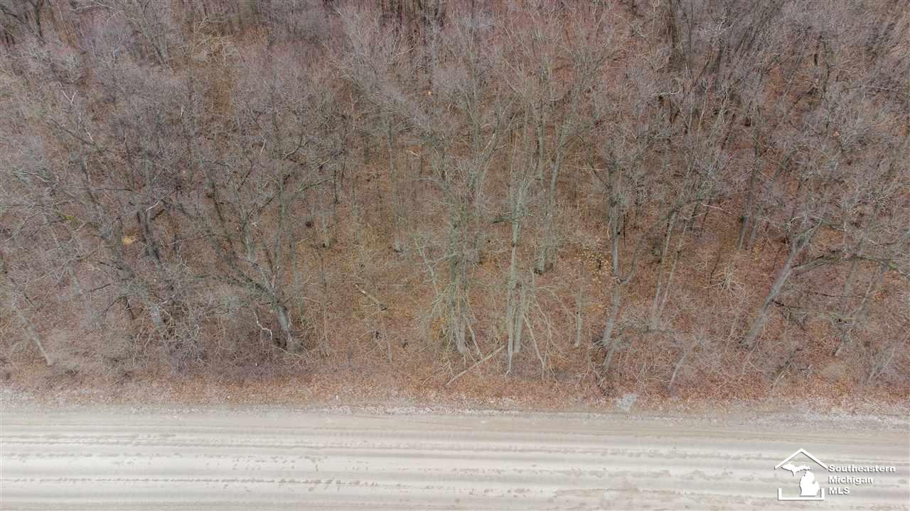 0 Wells Road Petersburg, MI 49270 - Photo 3 of 10