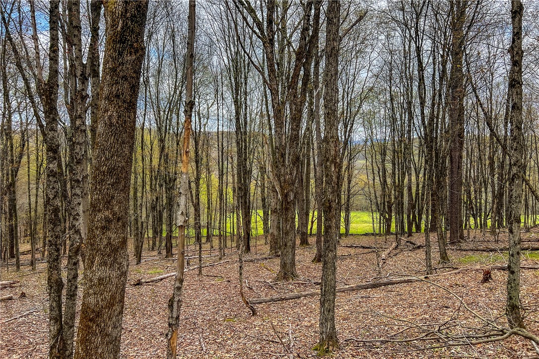 Lot 3 Brownell Road Bloomville, NY 13739 - Photo 17 of 35