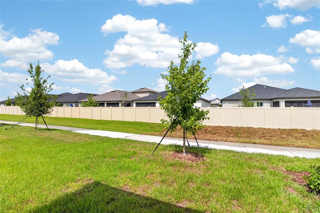 6693 Homebound Way New Port Richey, FL 34653 - Photo 58 of 62