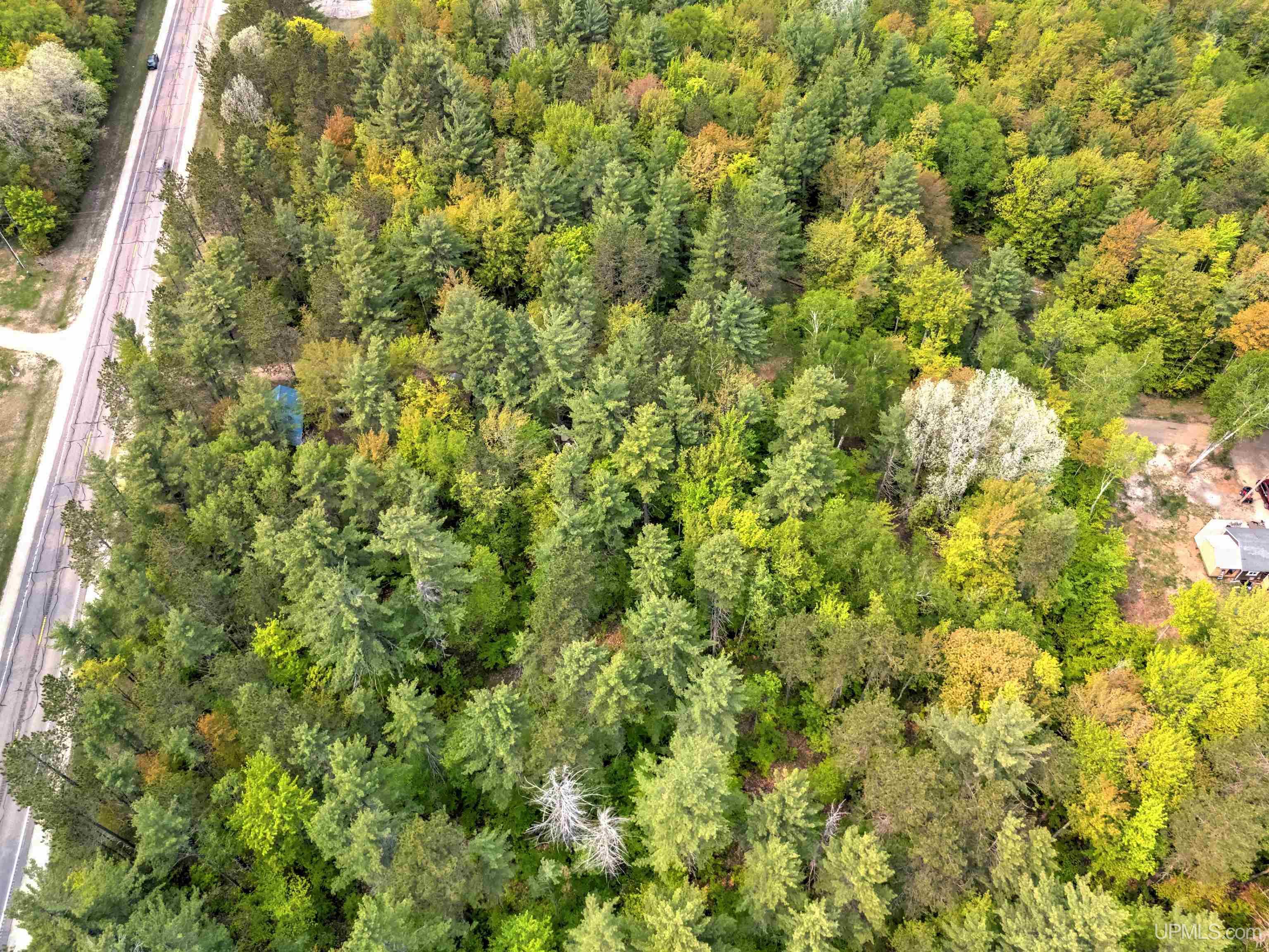 Tbd West Lily Lk Road Manistique, MI 49854 - Photo 6 of 7