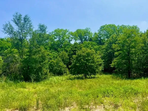 $97,000 | Lot 47 Antrim Court, Poolville, TX 76487