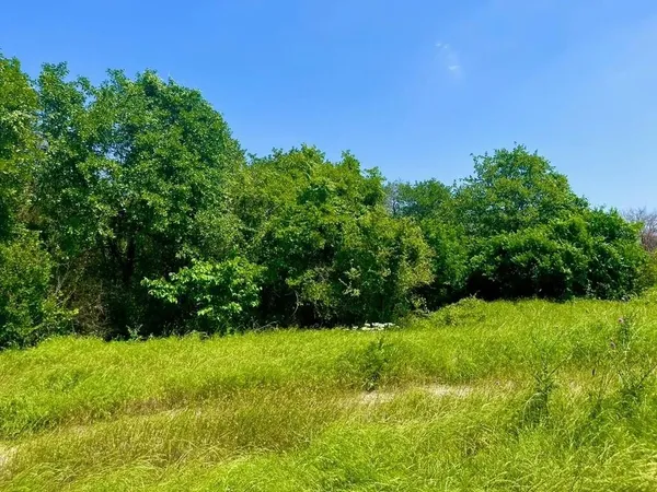 a view of a garden