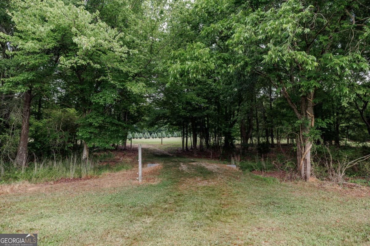 6.04-acres Old Bishop Road Bishop, GA 30621 - Photo 23 of 30 a backyard of a house with lots of plants and tree