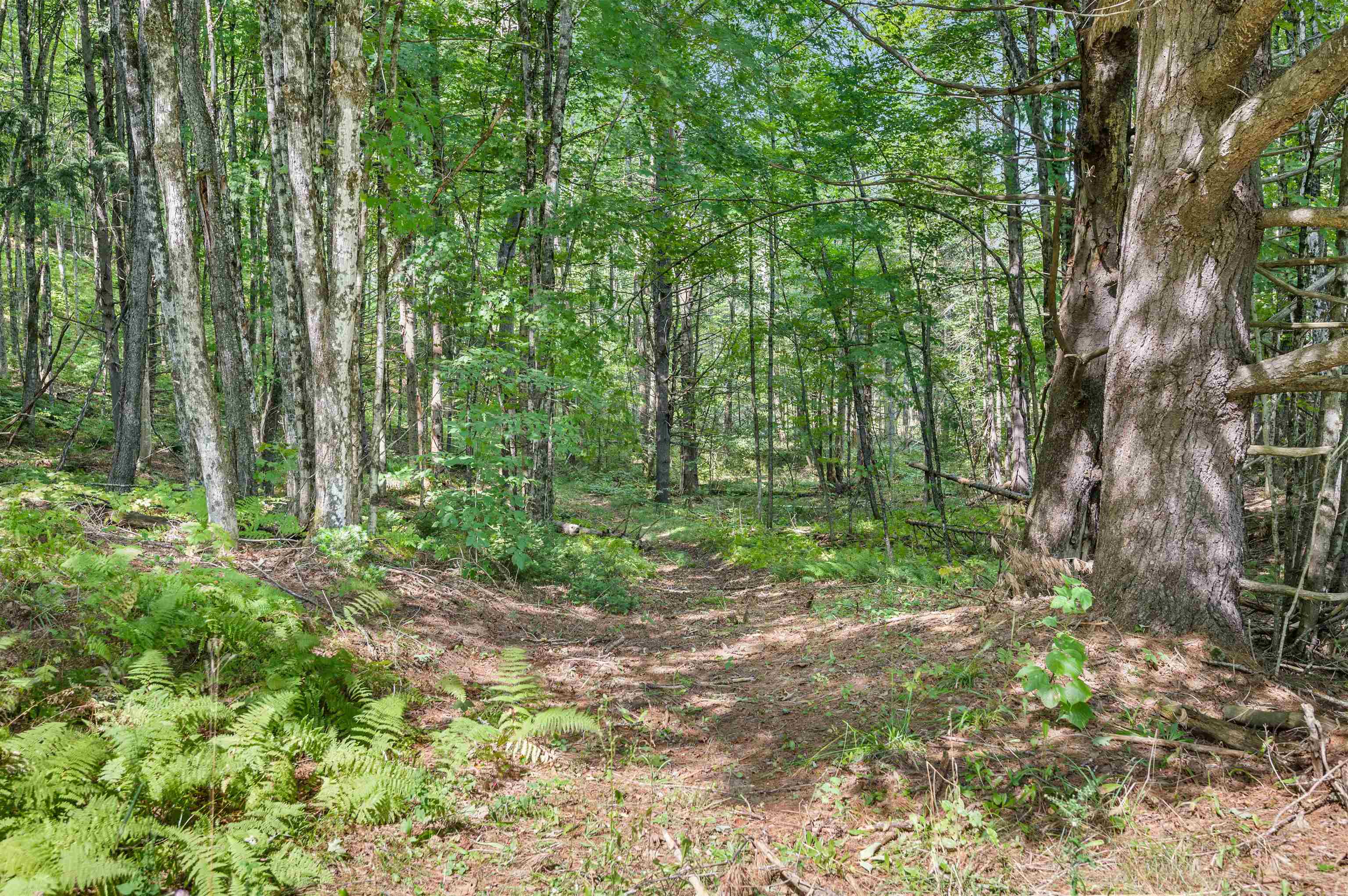 6-8 Barnett Road, Unit 6 & 8 East Calais, VT 05650 - Photo 11 of 26