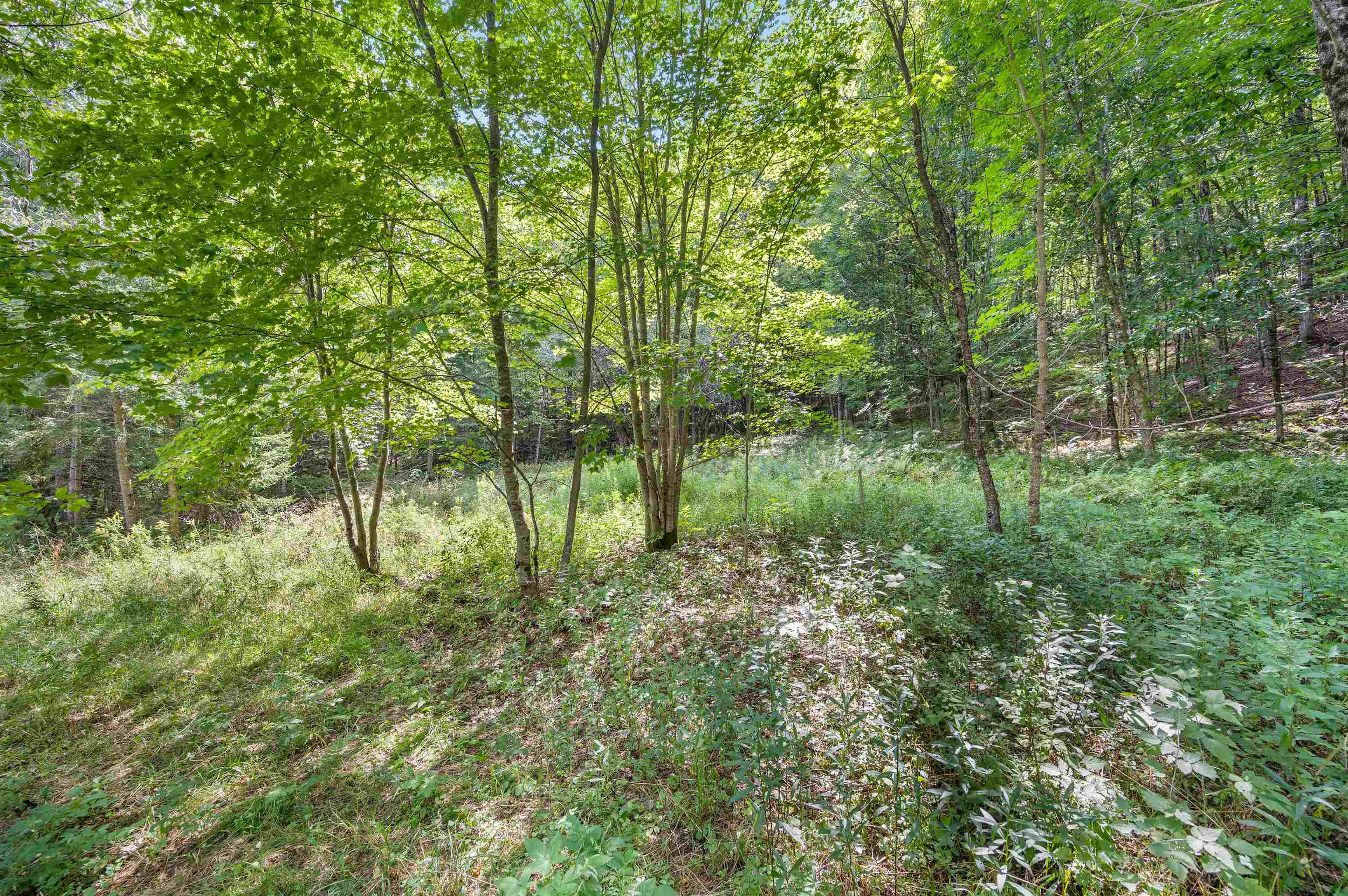 6-8 Barnett Road, Unit 6 & 8 East Calais, VT 05650 - Photo 20 of 26