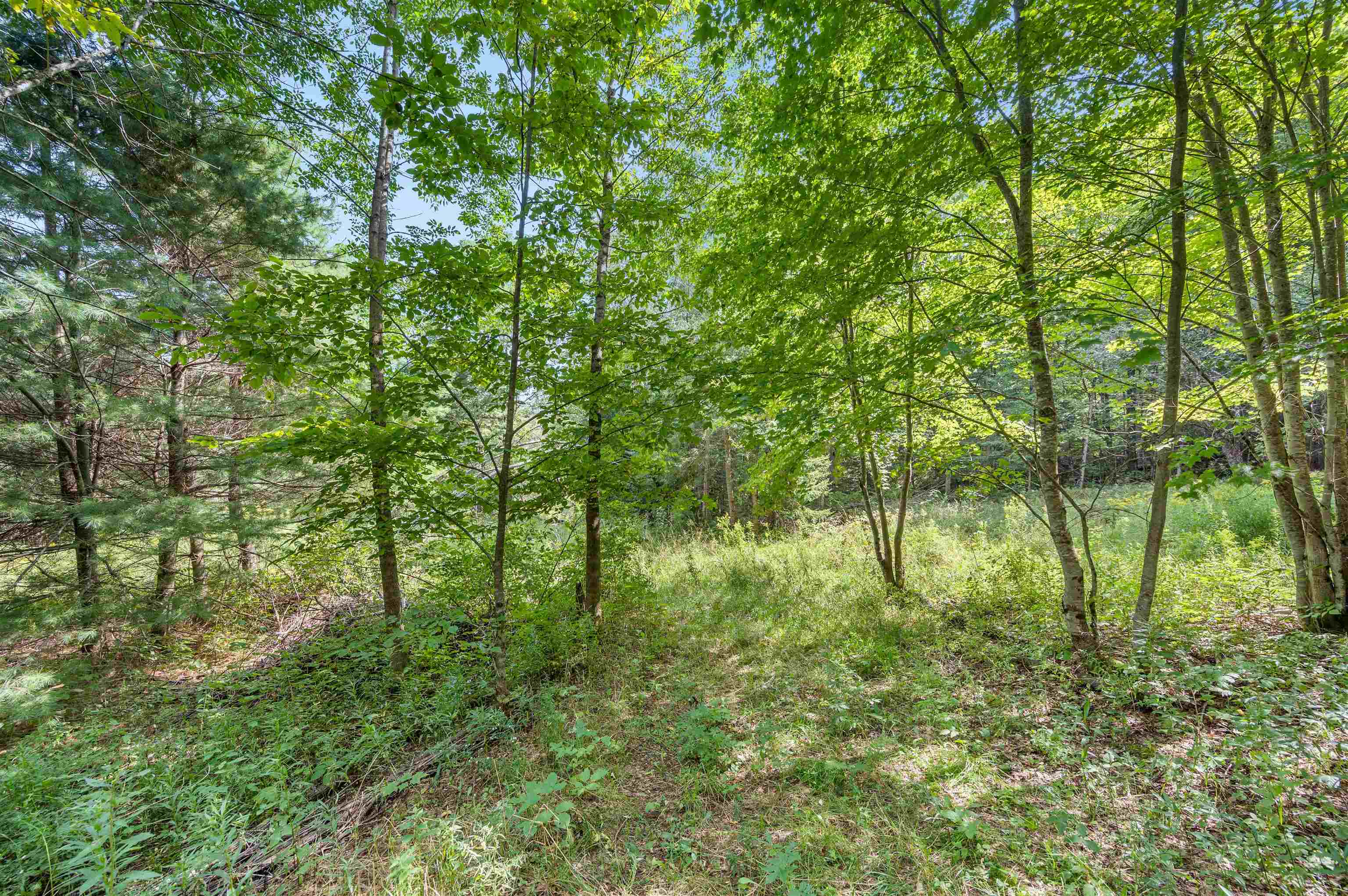 6-8 Barnett Road, Unit 6 & 8 East Calais, VT 05650 - Photo 21 of 26