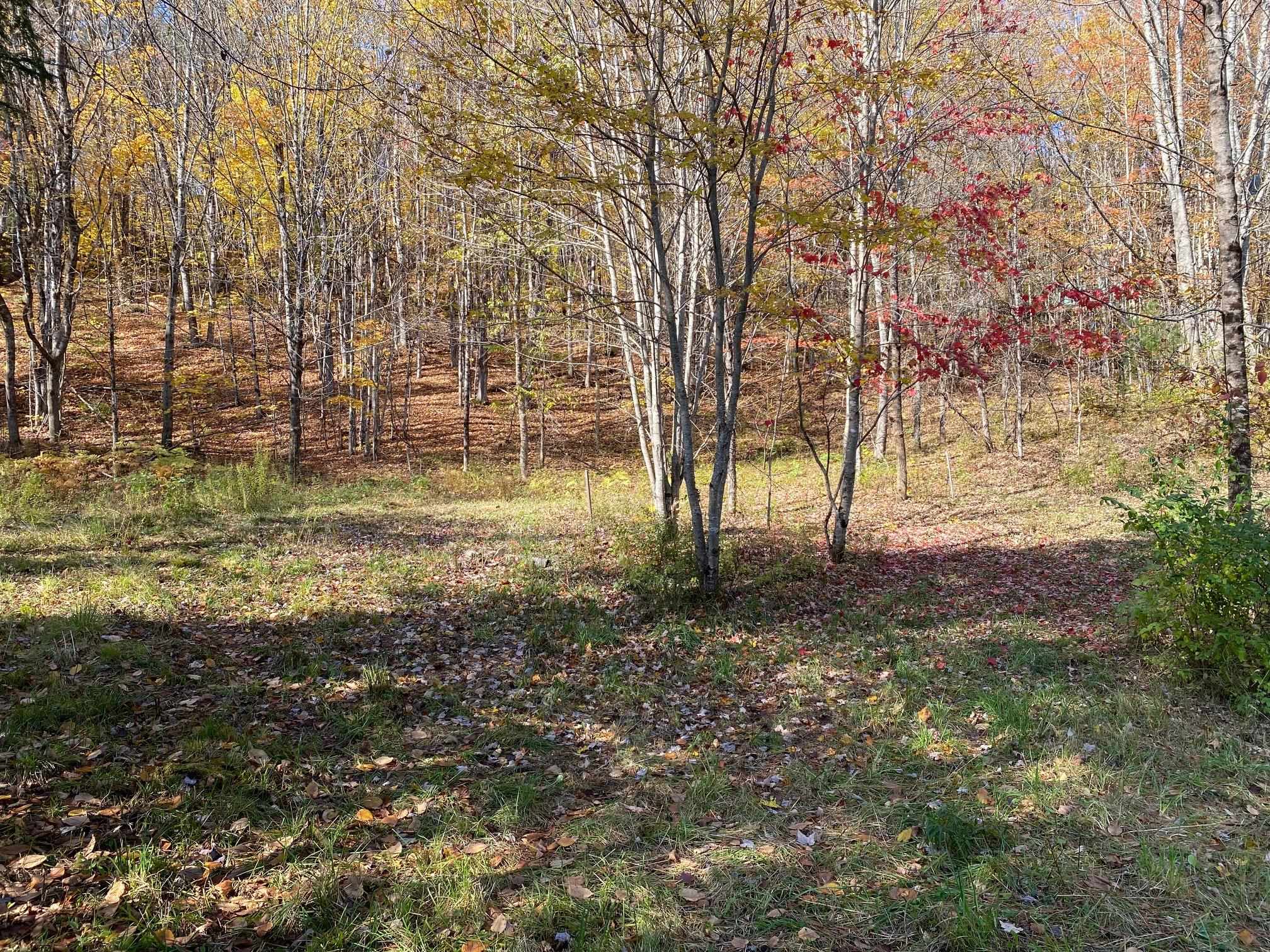 6-8 Barnett Road, Unit 6 & 8 East Calais, VT 05650 - Photo 23 of 26