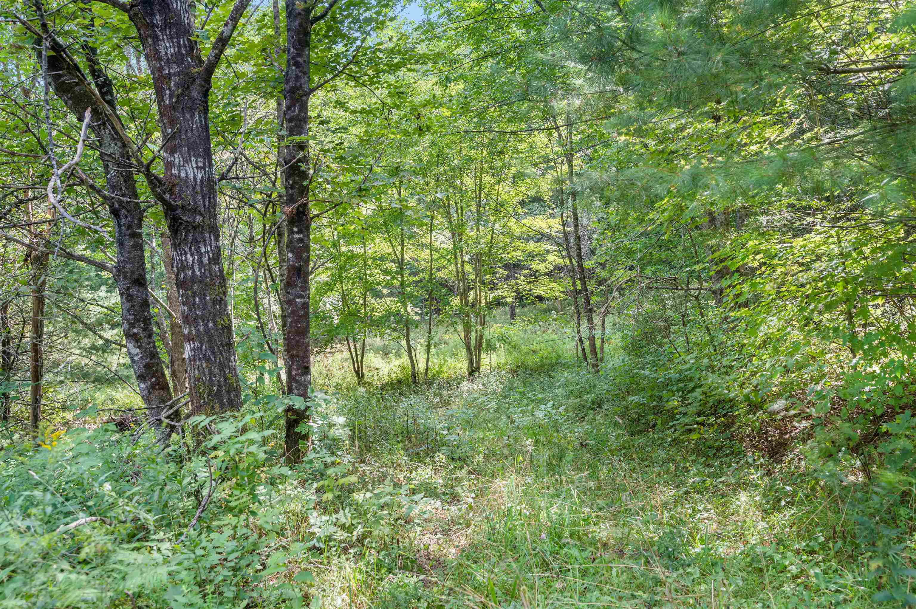 6-8 Barnett Road, Unit 6 & 8 East Calais, VT 05650 - Photo 10 of 26