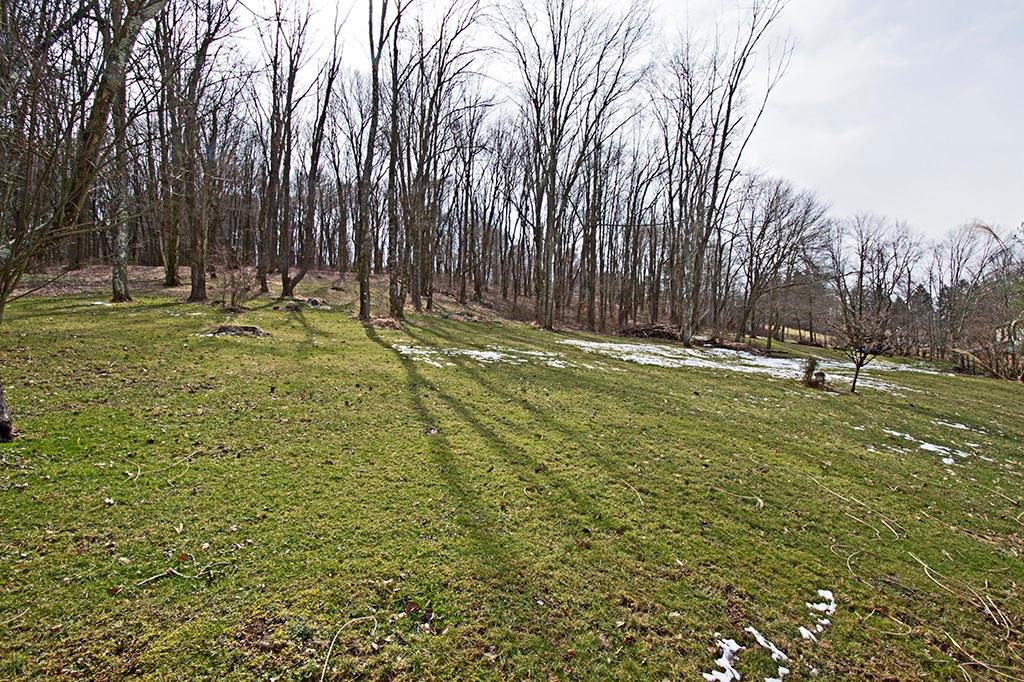 440 Markle Road Apollo, PA 15613 - Photo 6 of 25 Lovely view.
