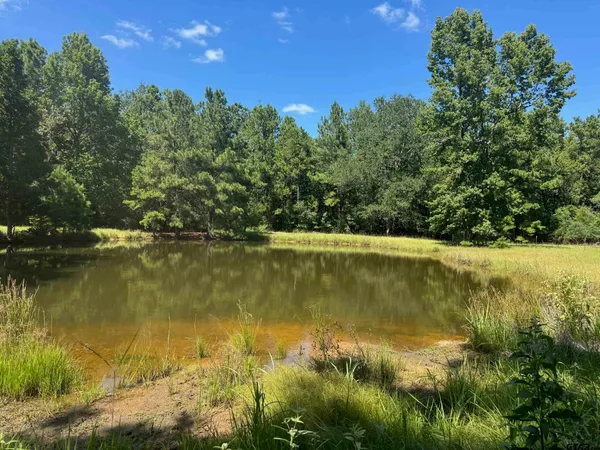 $250,000 | 390 Private Road 5200, Kennard, TX 75847