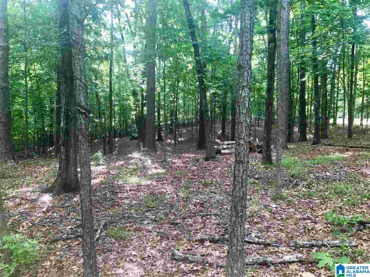 404 Jasmine Hill Road, Unit 404 Pelham, AL 35124 - Photo 1 of 5