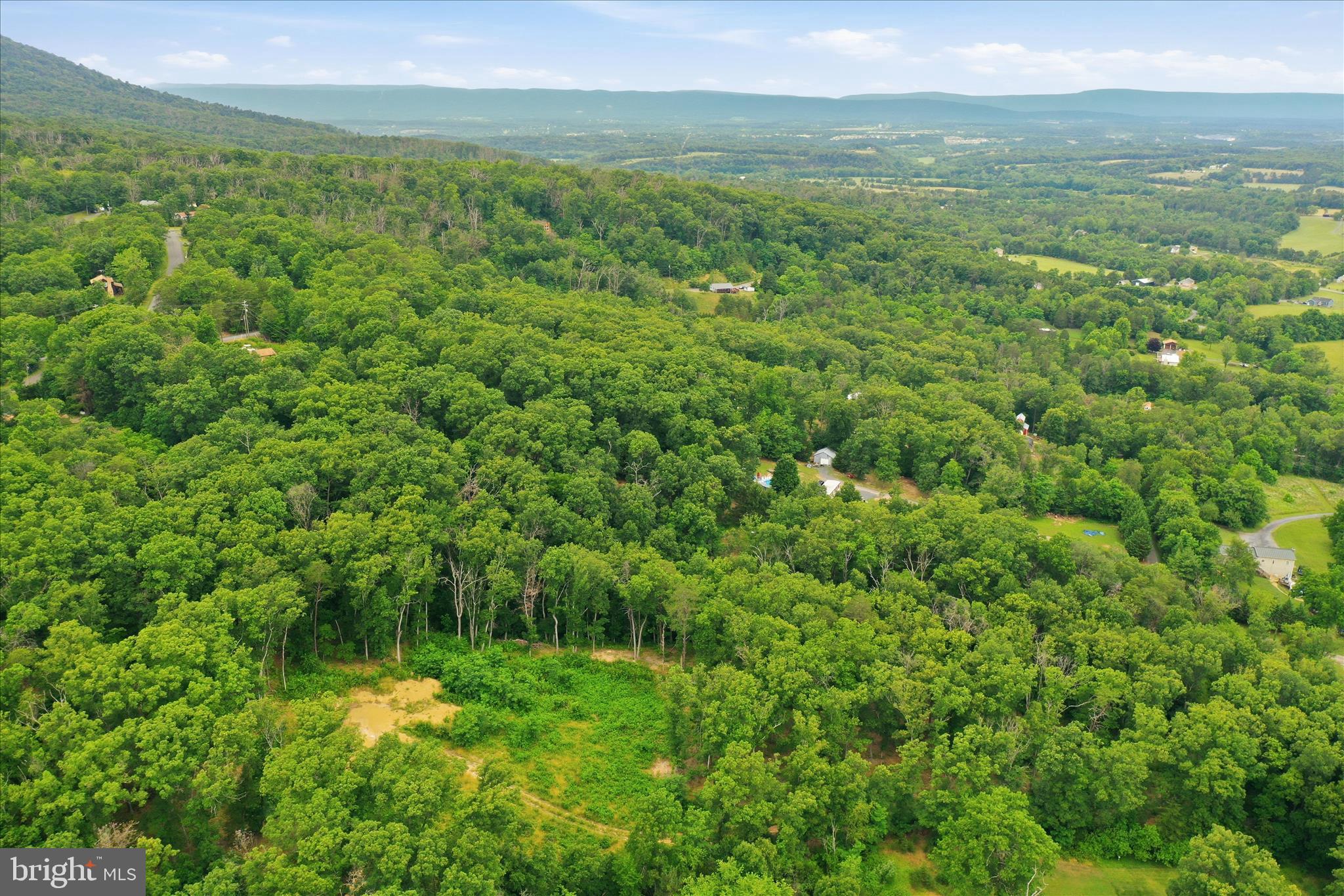 Messick Road Strasburg, VA 22657 - Photo 11 of 22