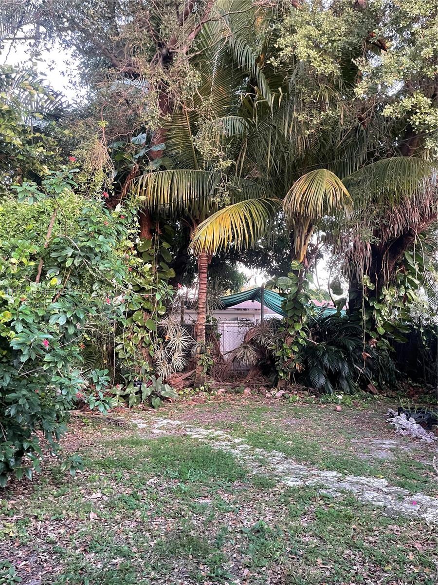 705 East 9th Court Hialeah, FL 33010 - Photo 33 of 36 a view of a yard in front of the house