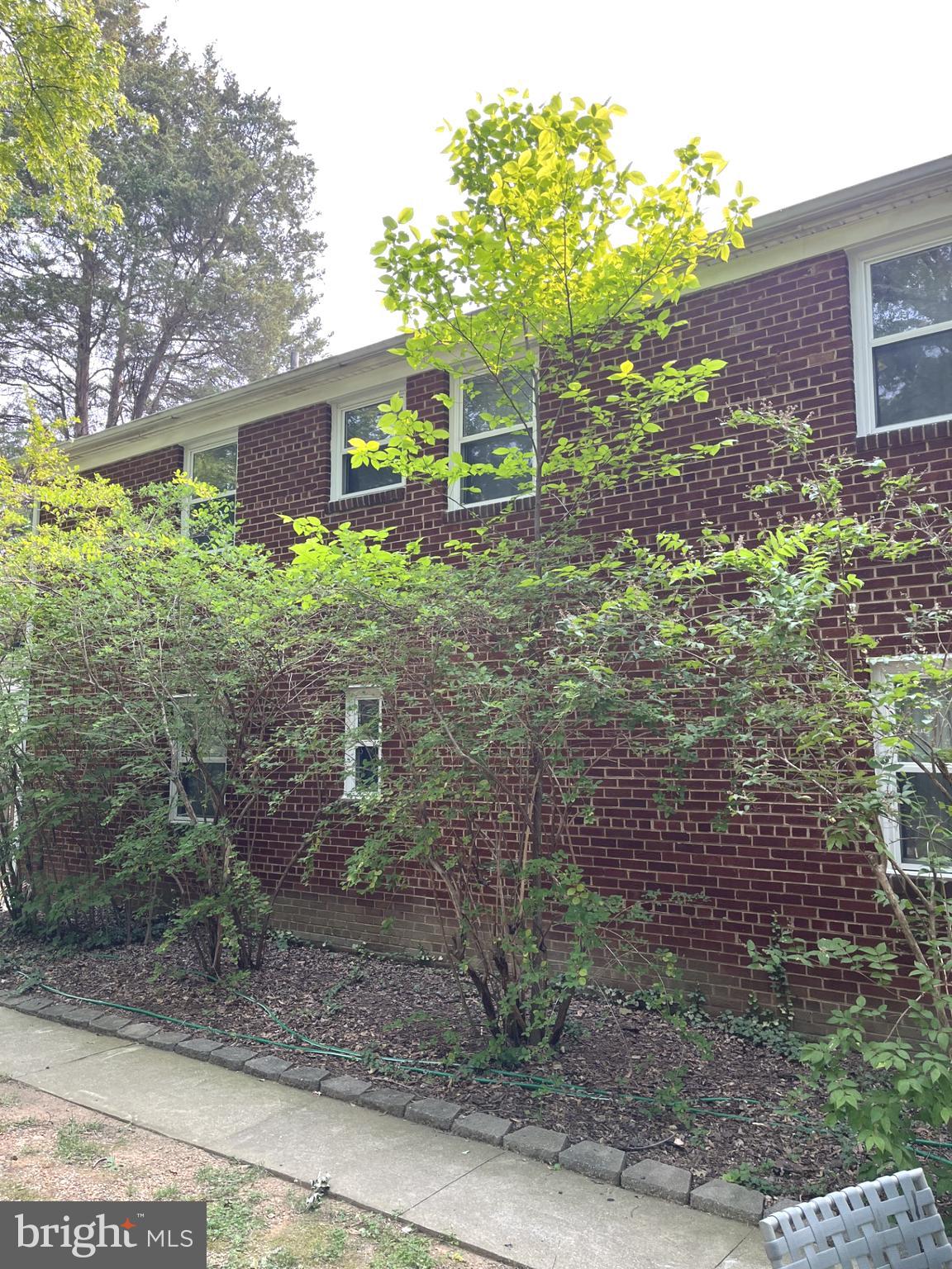 3637 Appleton Street Northwest Washington, DC 20008 - Photo 4 of 19